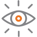 vision